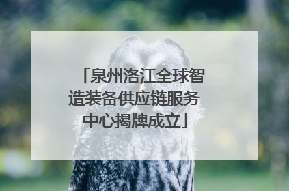 泉州洛江全球智造装备供应链服务中心揭牌成立